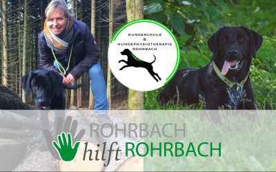 Hundeschule und Hundephysiotherapie Rohrbach – ab 20. April geht’s wieder los