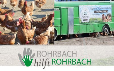 Bio-Eier aus dem Hühnerbus