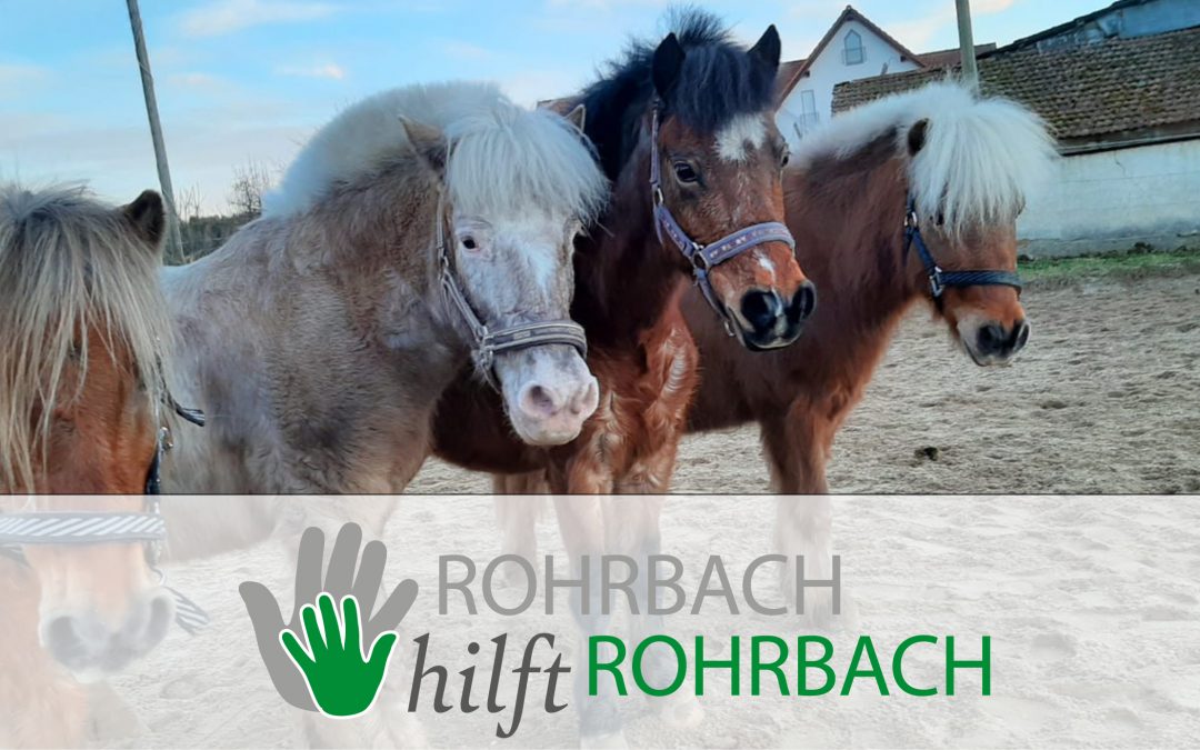 Mit Pferden helfen – Reitpädagogin Kerstin Mittermaier aus Gambach
