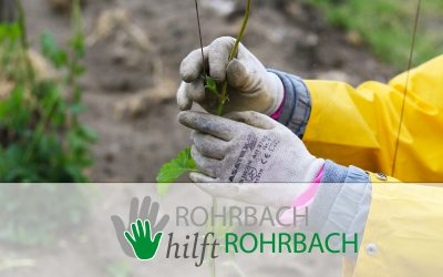 #rettetdasbier: Einsatz als Erntehelfer