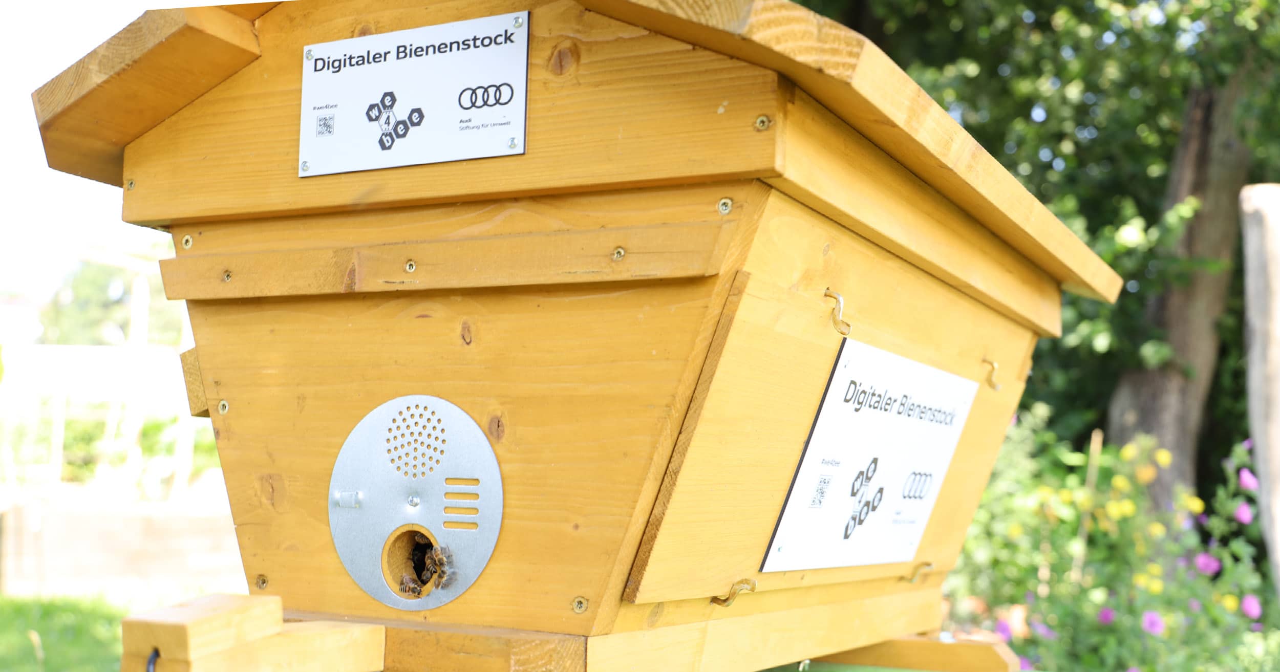 Digitaler Bienenstock - Die fleißigen Bienchen sind eingezogen 🐝 🐝 ...